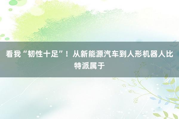 看我“韧性十足”！从新能源汽车到人形机器人比特派属于