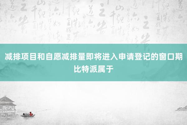 减排项目和自愿减排量即将进入申请登记的窗口期比特派属于