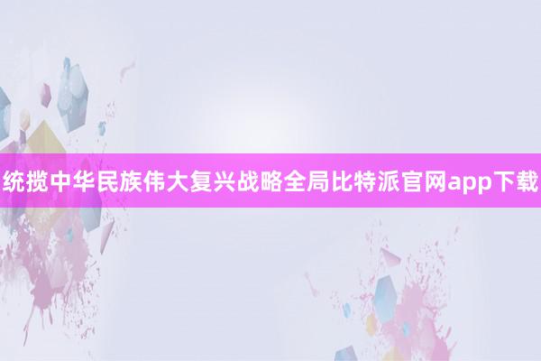 统揽中华民族伟大复兴战略全局比特派官网app下载