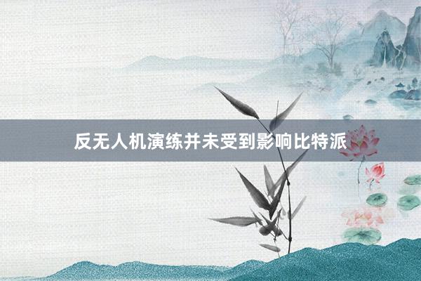 反无人机演练并未受到影响比特派