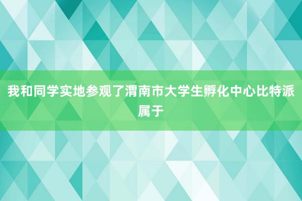 我和同学实地参观了渭南市大学生孵化中心比特派属于