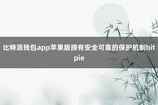 比特派钱包app苹果版拥有安全可靠的保护机制bitpie