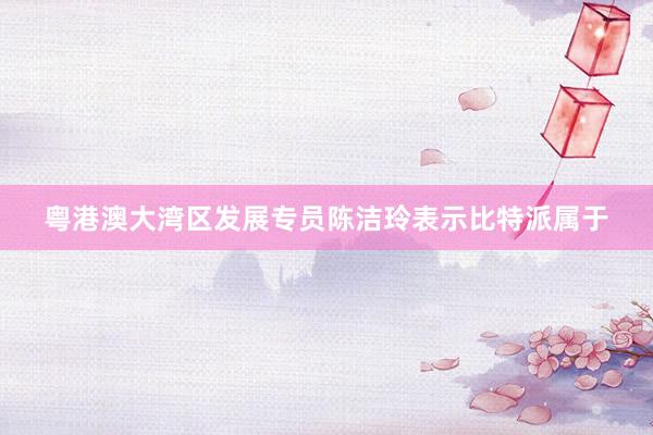 粤港澳大湾区发展专员陈洁玲表示比特派属于