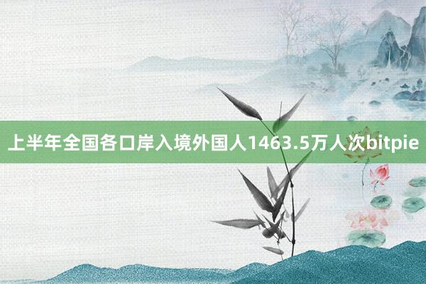 上半年全国各口岸入境外国人1463.5万人次bitpie