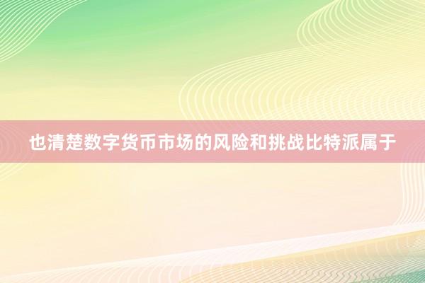 也清楚数字货币市场的风险和挑战比特派属于