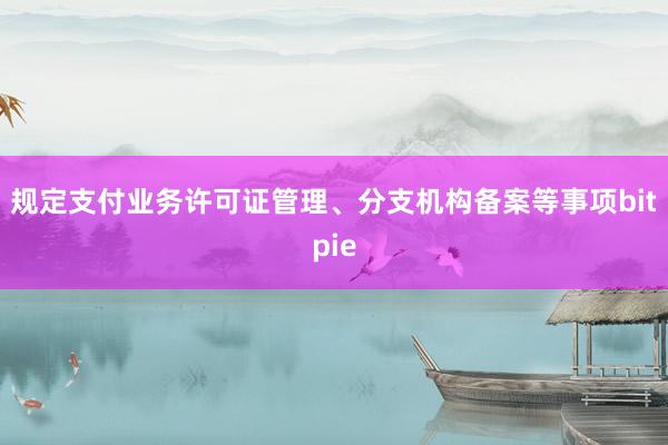 规定支付业务许可证管理、分支机构备案等事项bitpie