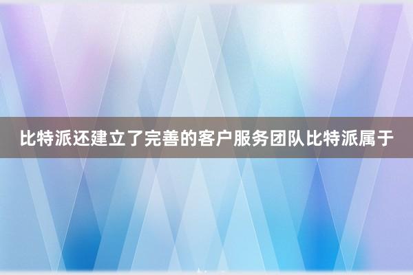 比特派还建立了完善的客户服务团队比特派属于