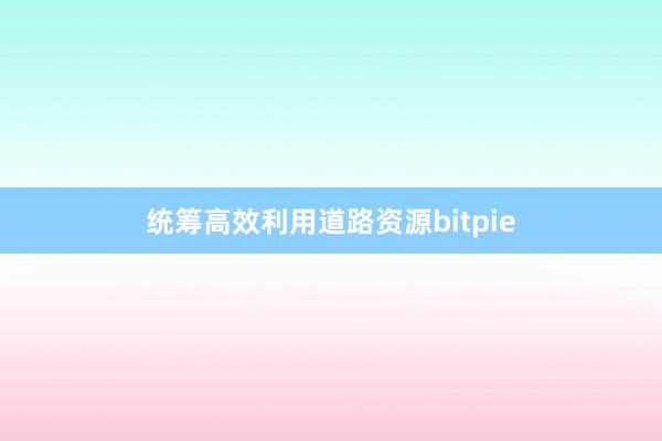 统筹高效利用道路资源bitpie