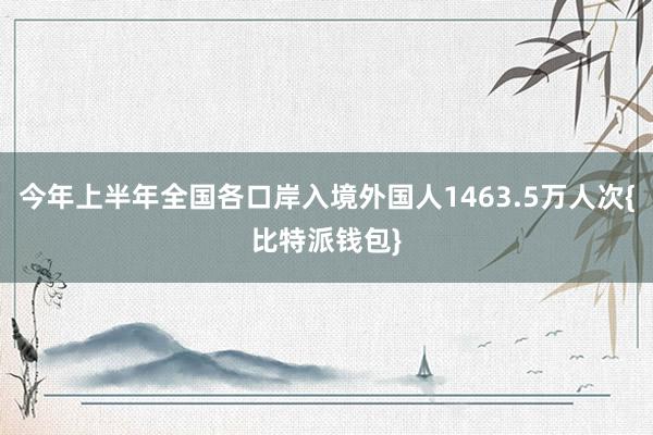 今年上半年全国各口岸入境外国人1463.5万人次{比特派钱包}