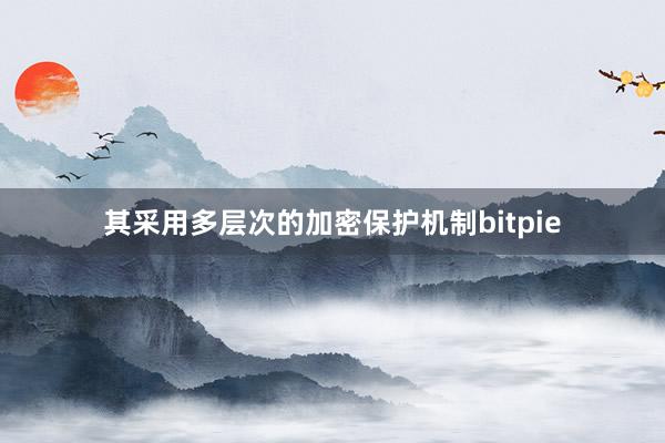 其采用多层次的加密保护机制bitpie