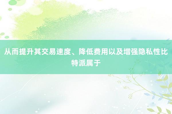 从而提升其交易速度、降低费用以及增强隐私性比特派属于