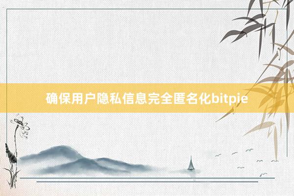 确保用户隐私信息完全匿名化bitpie