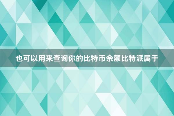 也可以用来查询你的比特币余额比特派属于