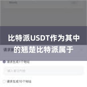 比特派USDT作为其中的翘楚比特派属于