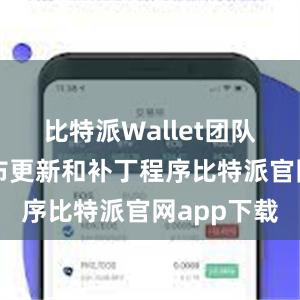 比特派Wallet团队会定期发布更新和补丁程序比特派官网app下载